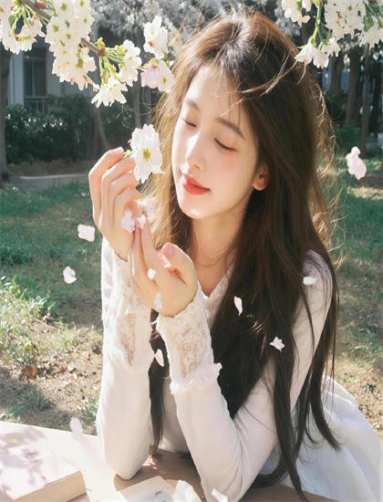 观影宝典：《天上的菊美》的理解象征意义与隐喻手法 助你获得专业视角